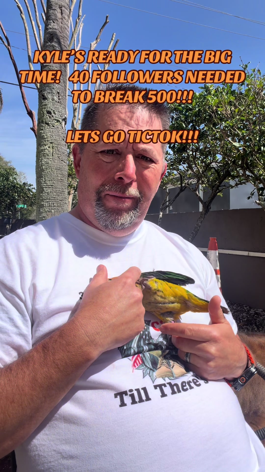 @kylethecaique