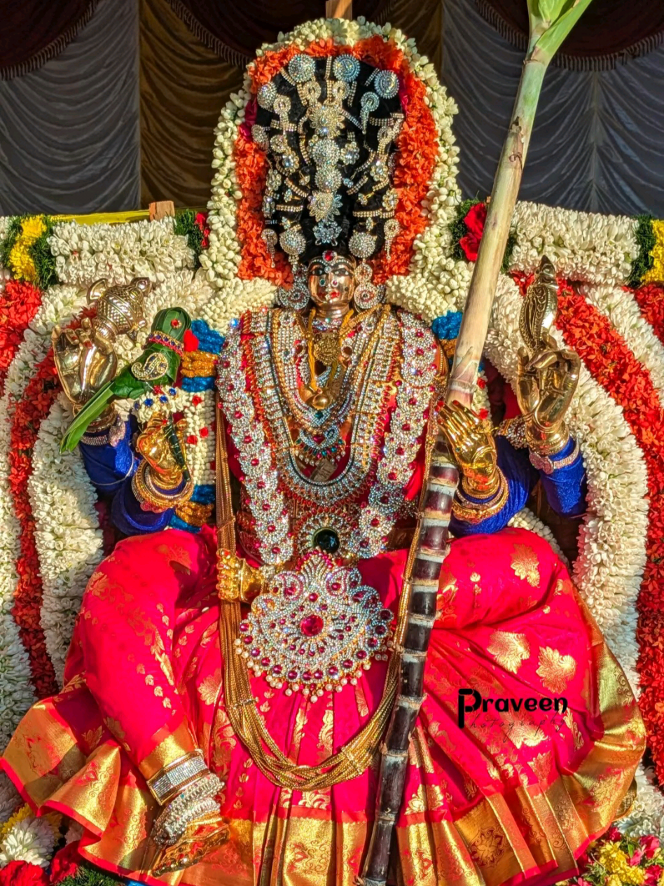 @Anandh Mani 127
