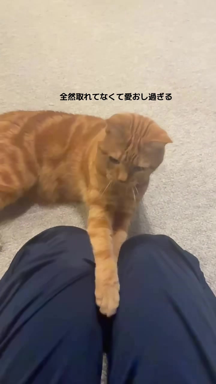 @さまむ〜