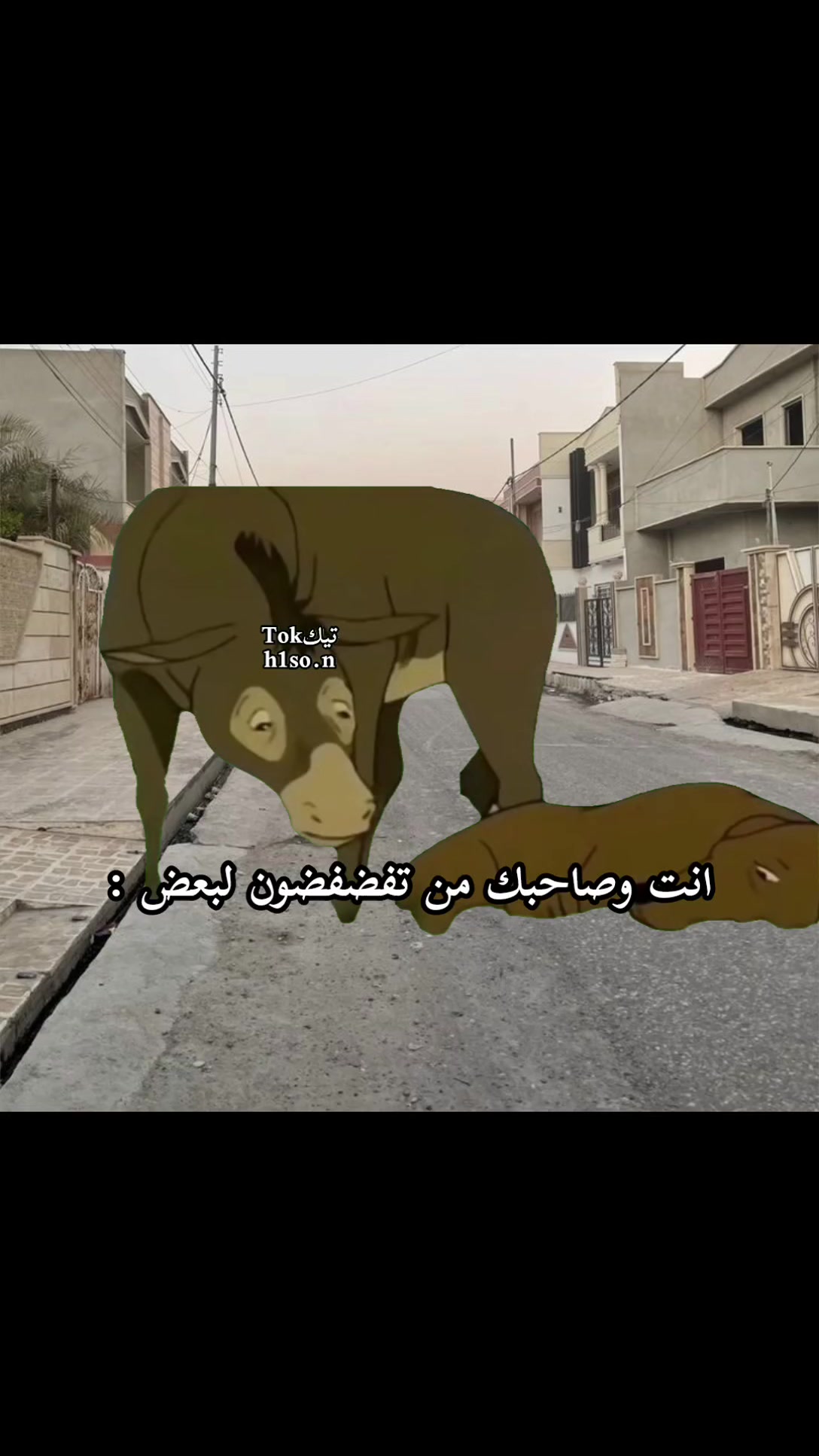 @حسين