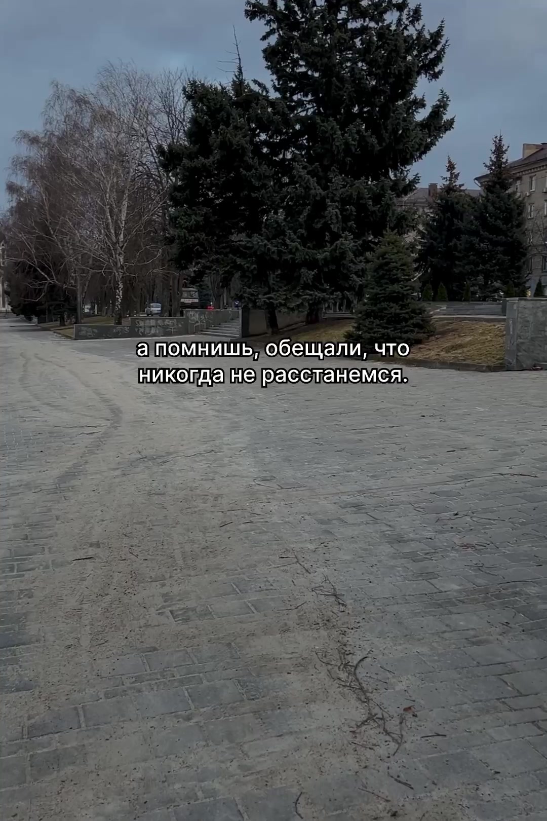 @003