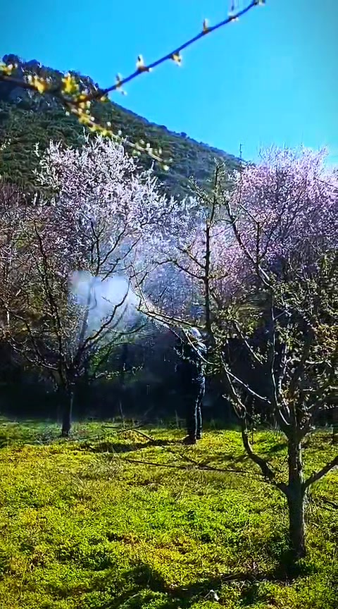 @pozcu