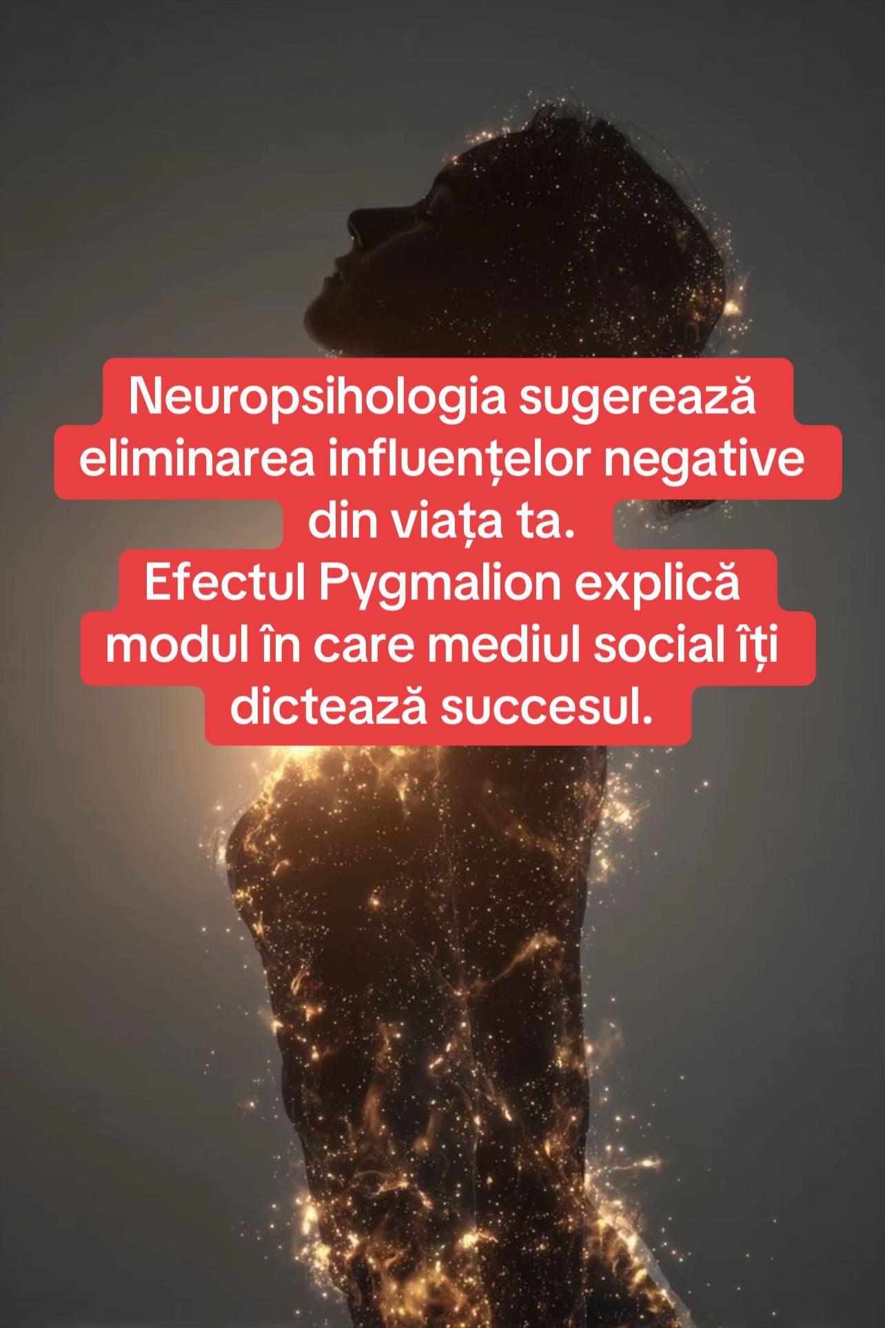 @putereadeamanifesta