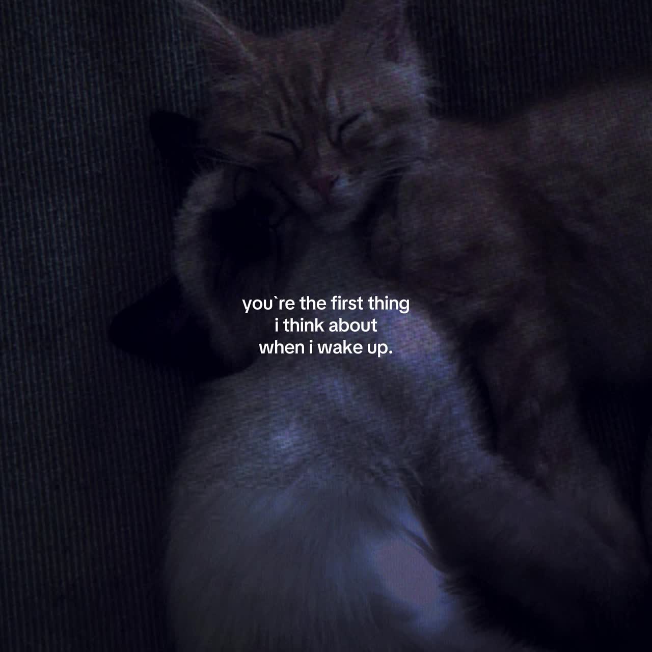 @.