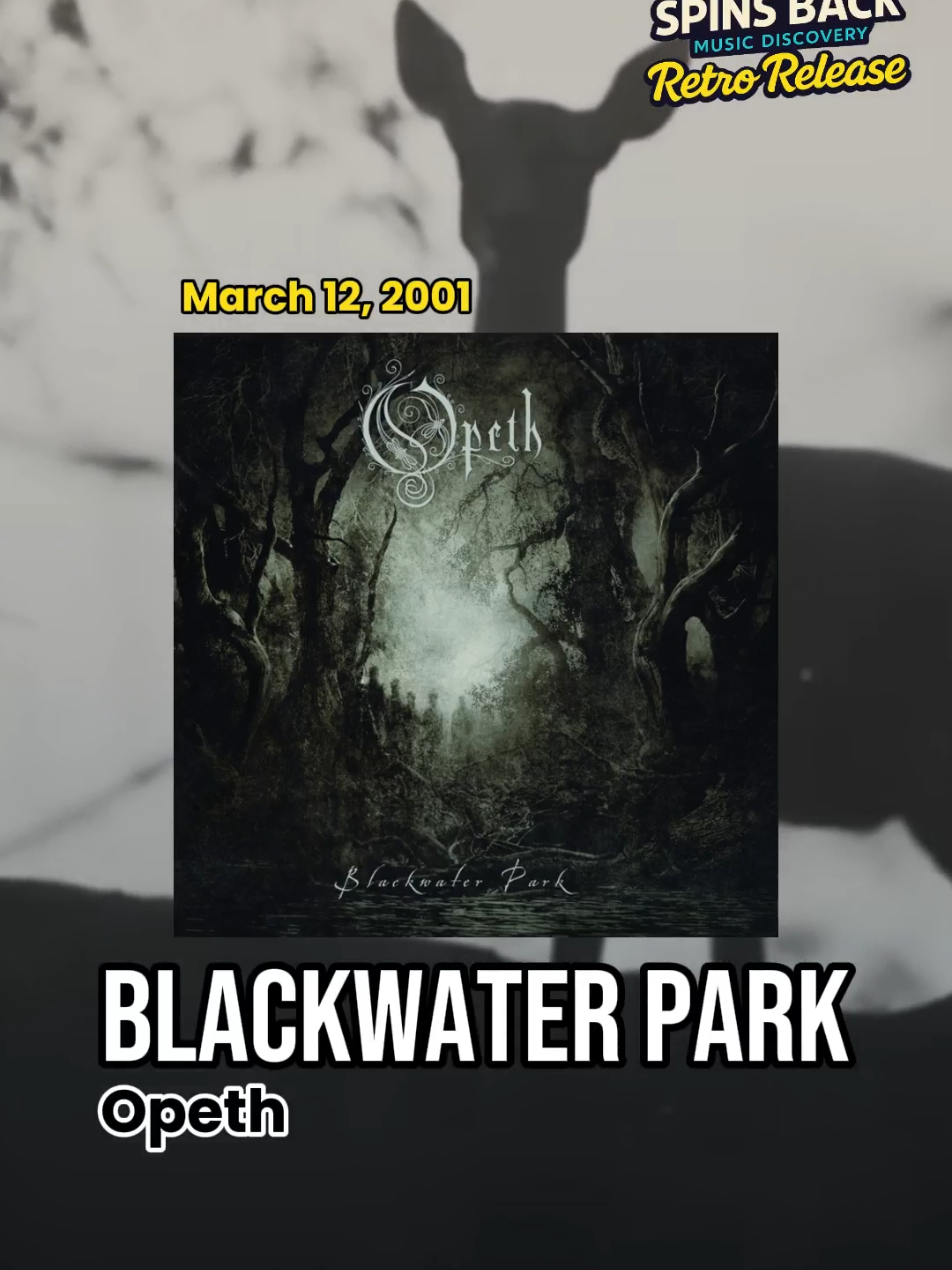 @Spins Back - Music Discovery
