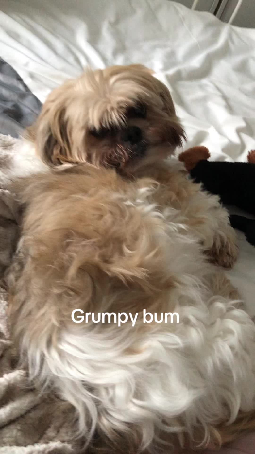 @Marie