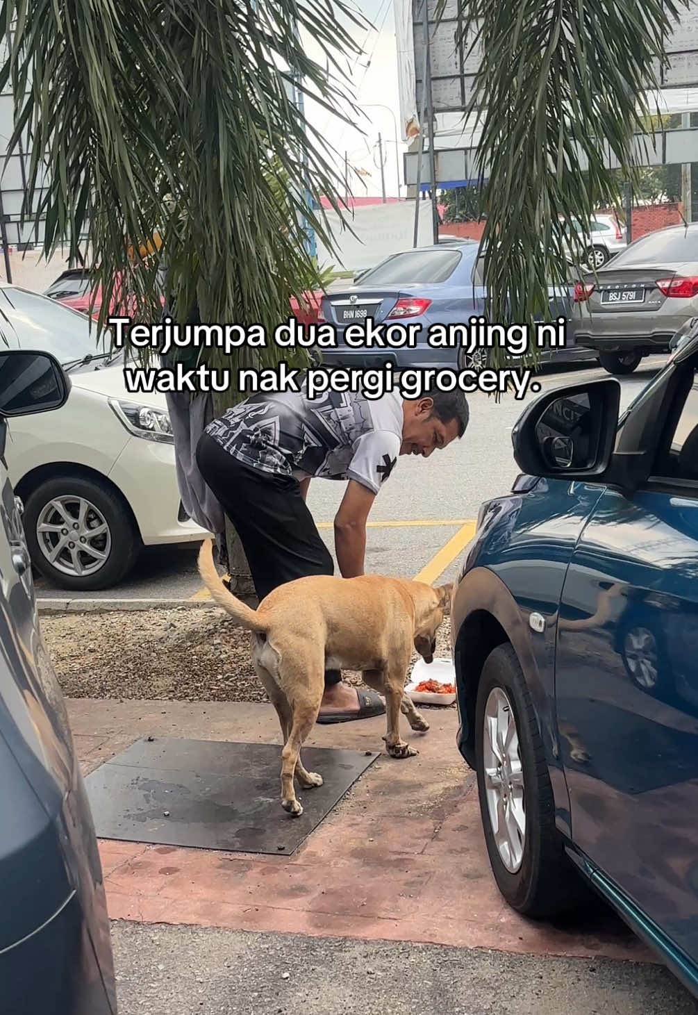 @Airis Yasmin