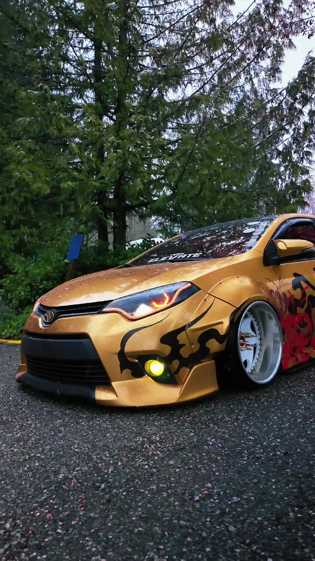@Dat_bagged_rolla