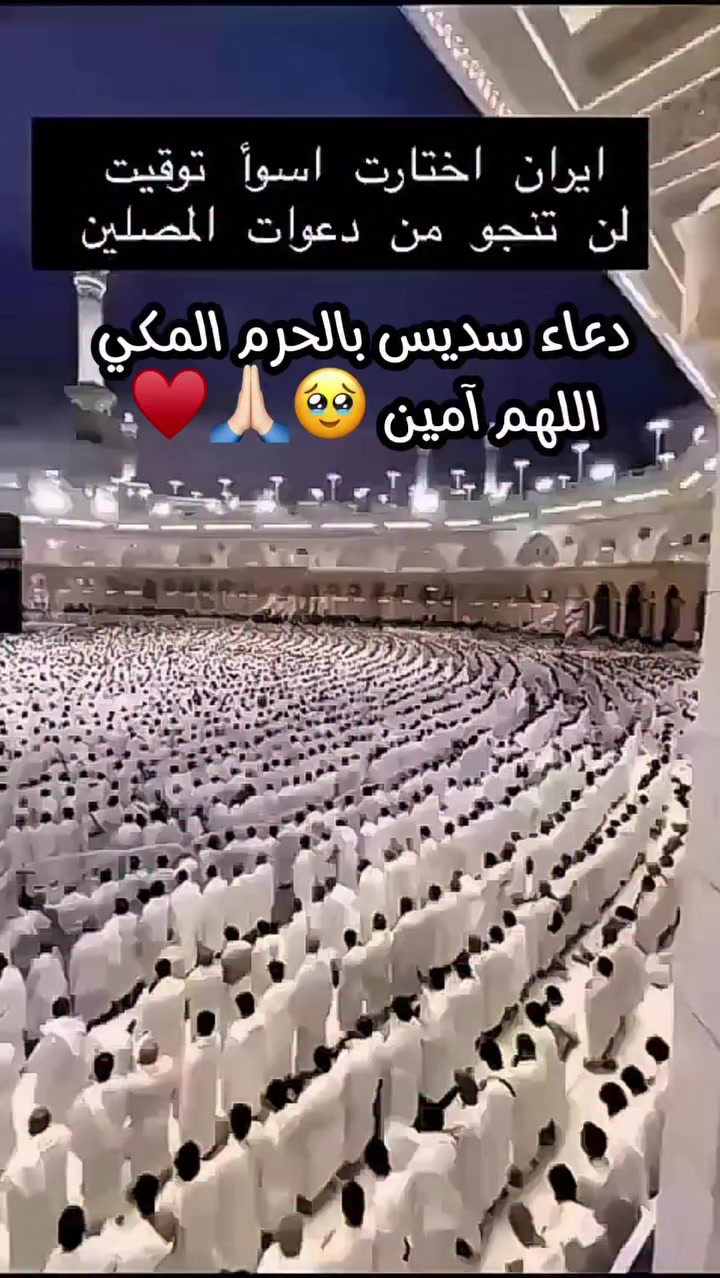 @المدافع عن وطني ضدالمستعربيين