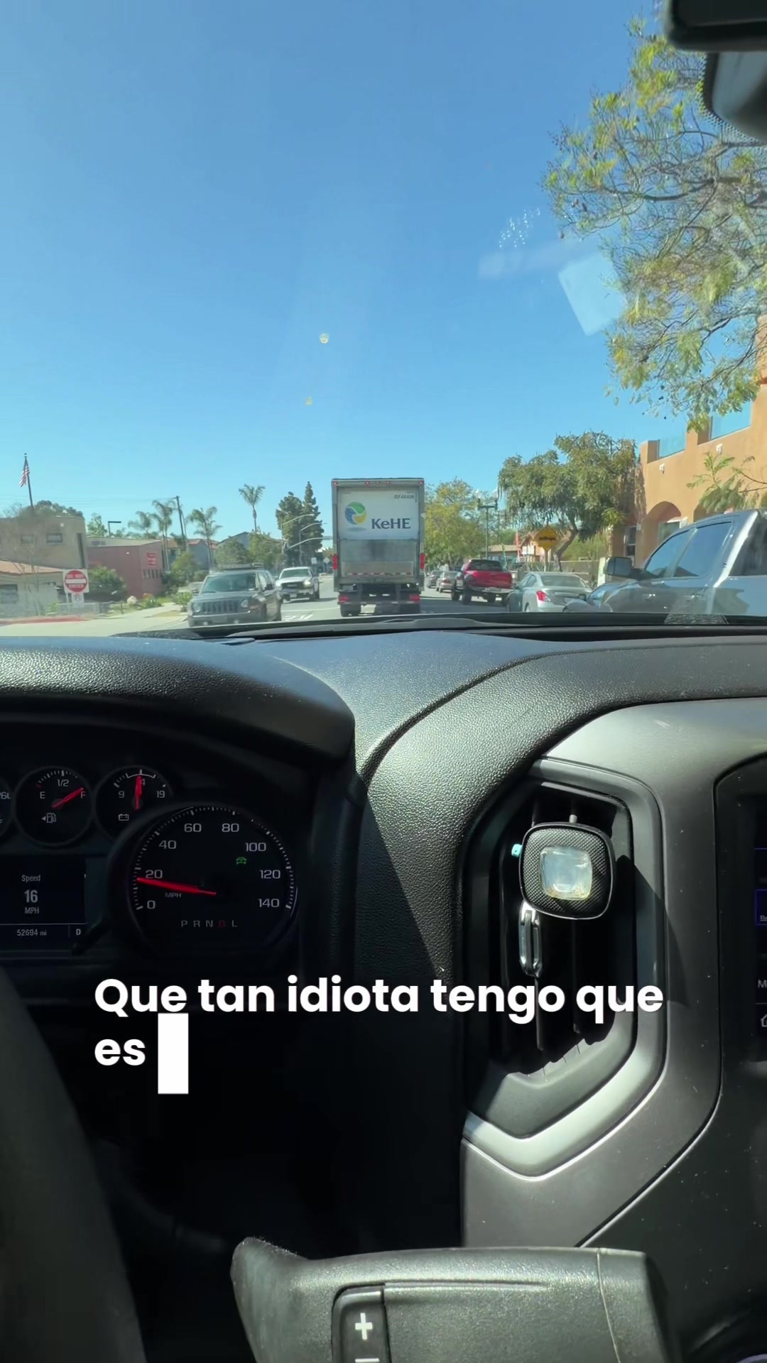 @Analu Bernardet