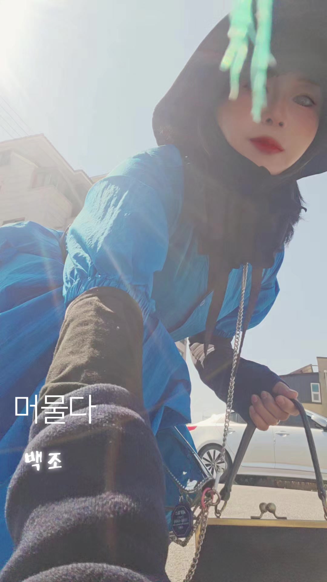 @백조  ~고상하고 우아하게 살자 ❤️  (김교흠)