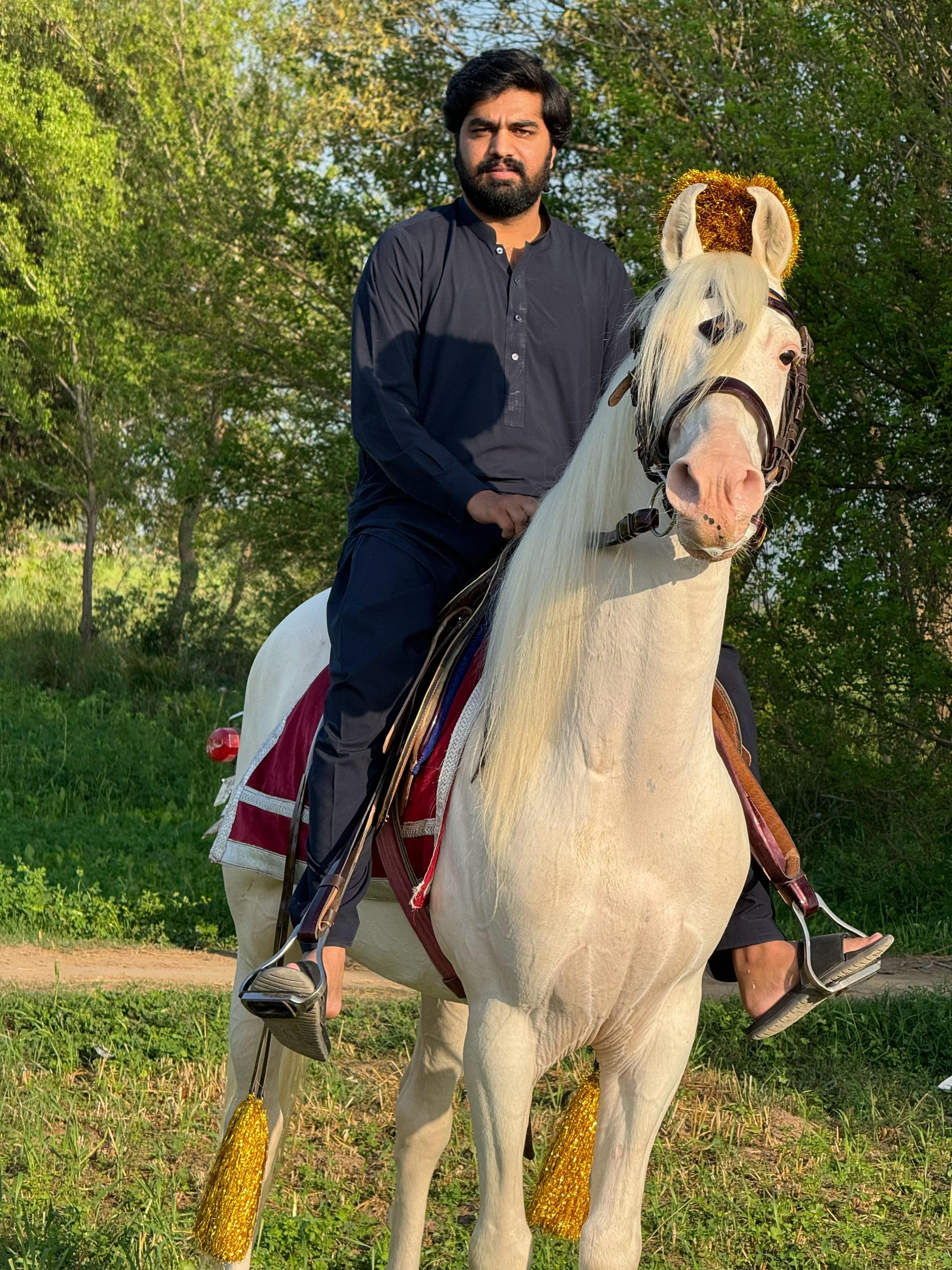 @Lord.Gujjar