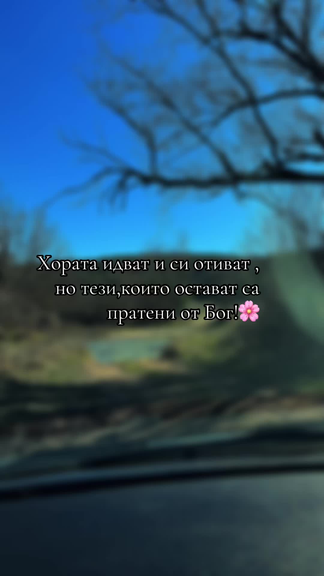 @Дани В 🌸