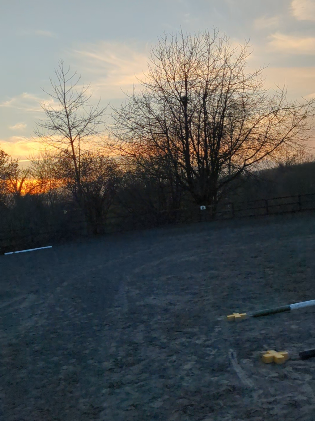 @ZB Equestrian