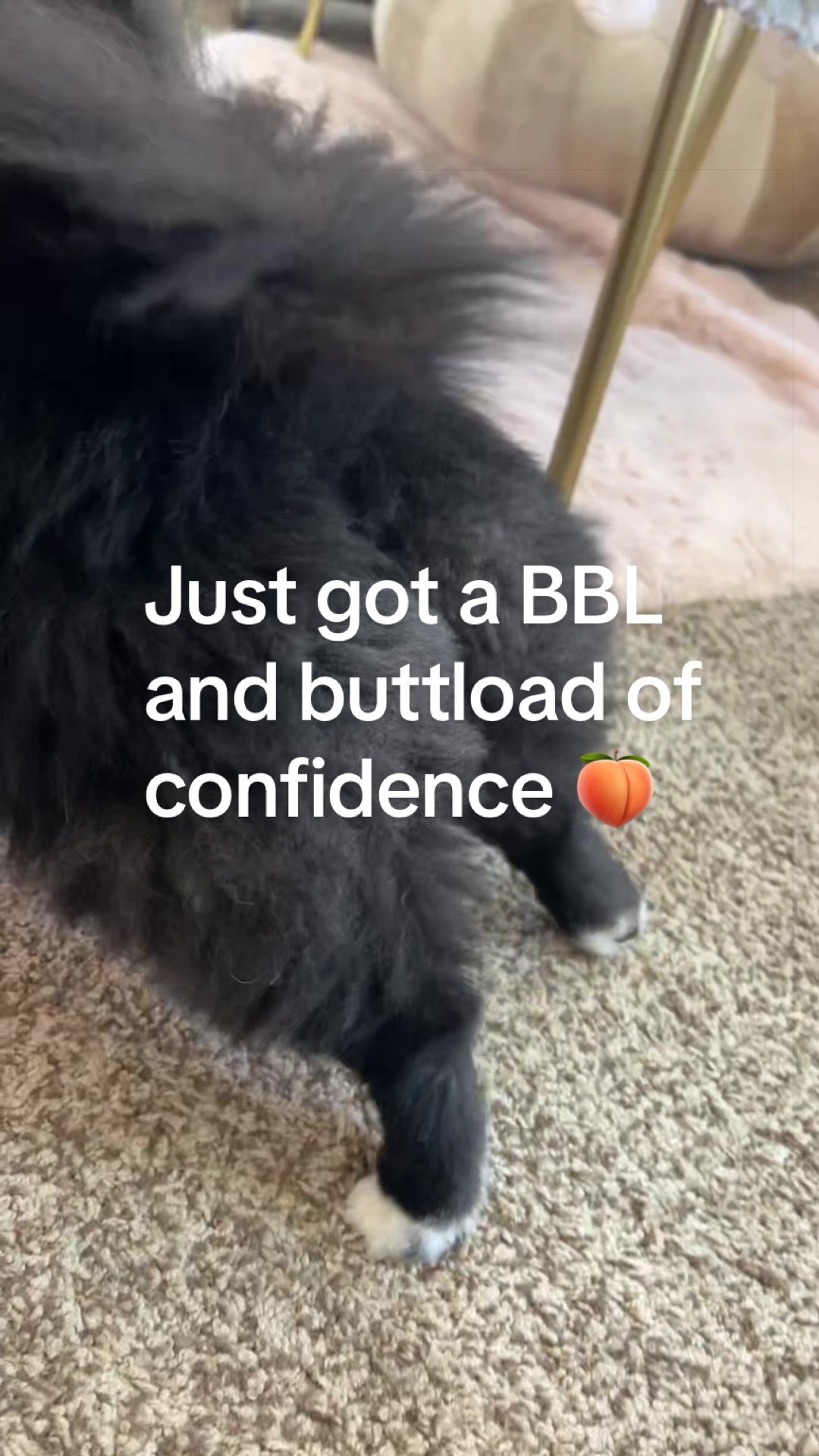@BiggiePomPom
