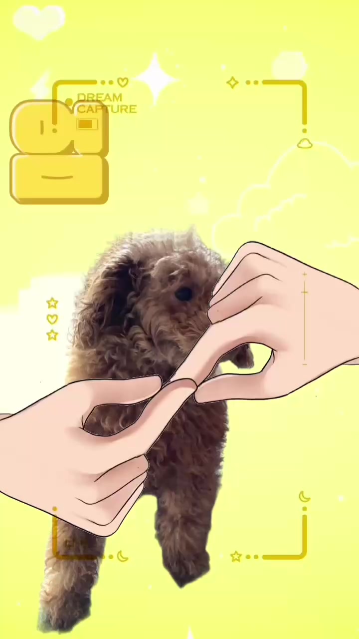 @安藤未知の推し👩&zwj;🎓😆