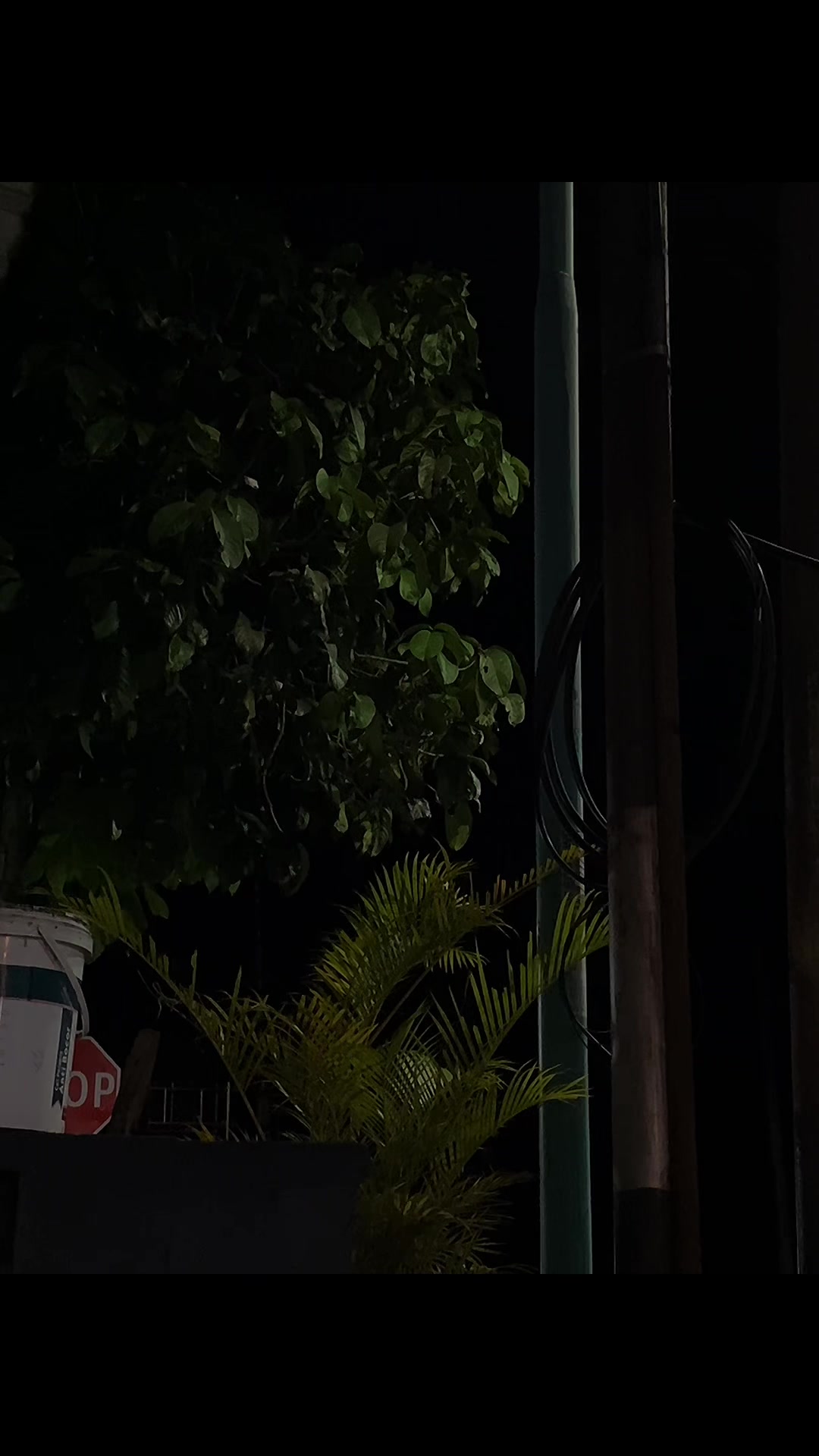 @𝘿𝙢𝙨