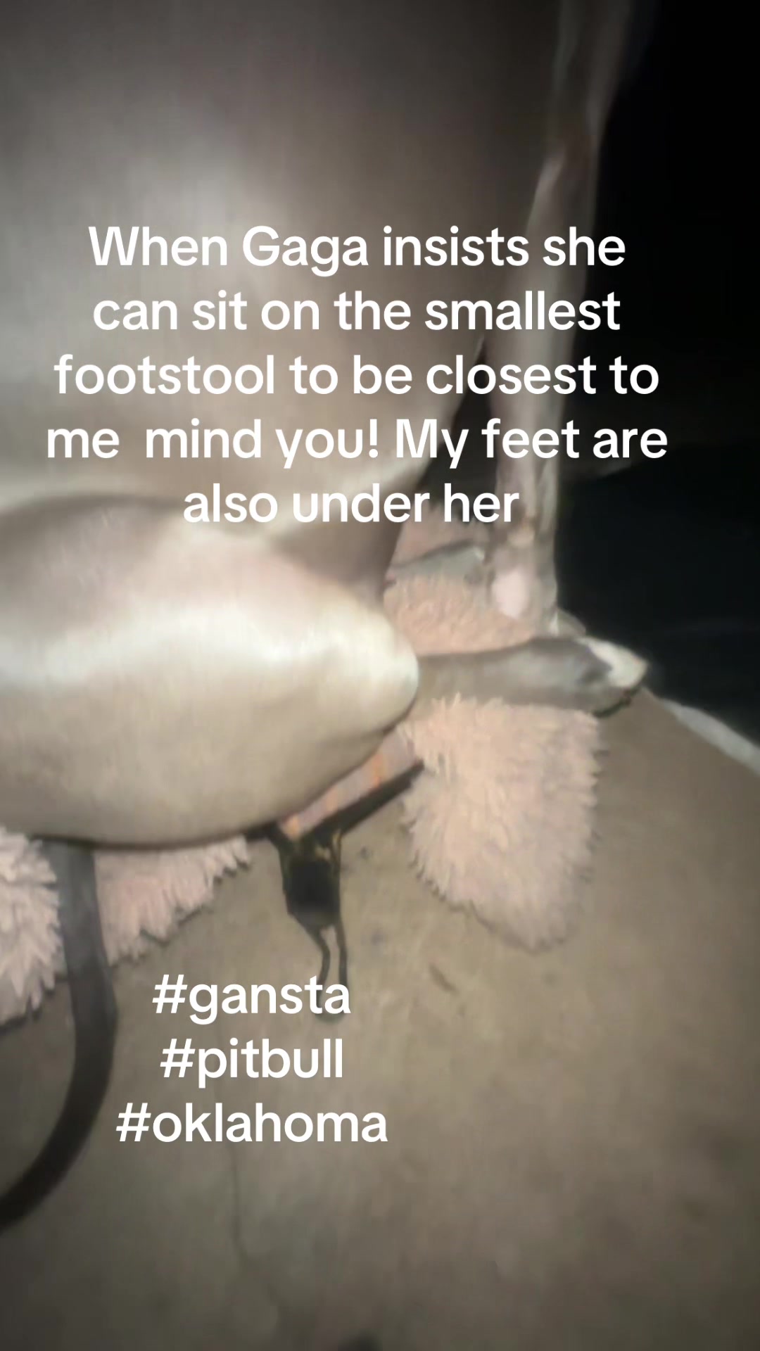 @ganstagirlsoklahoma