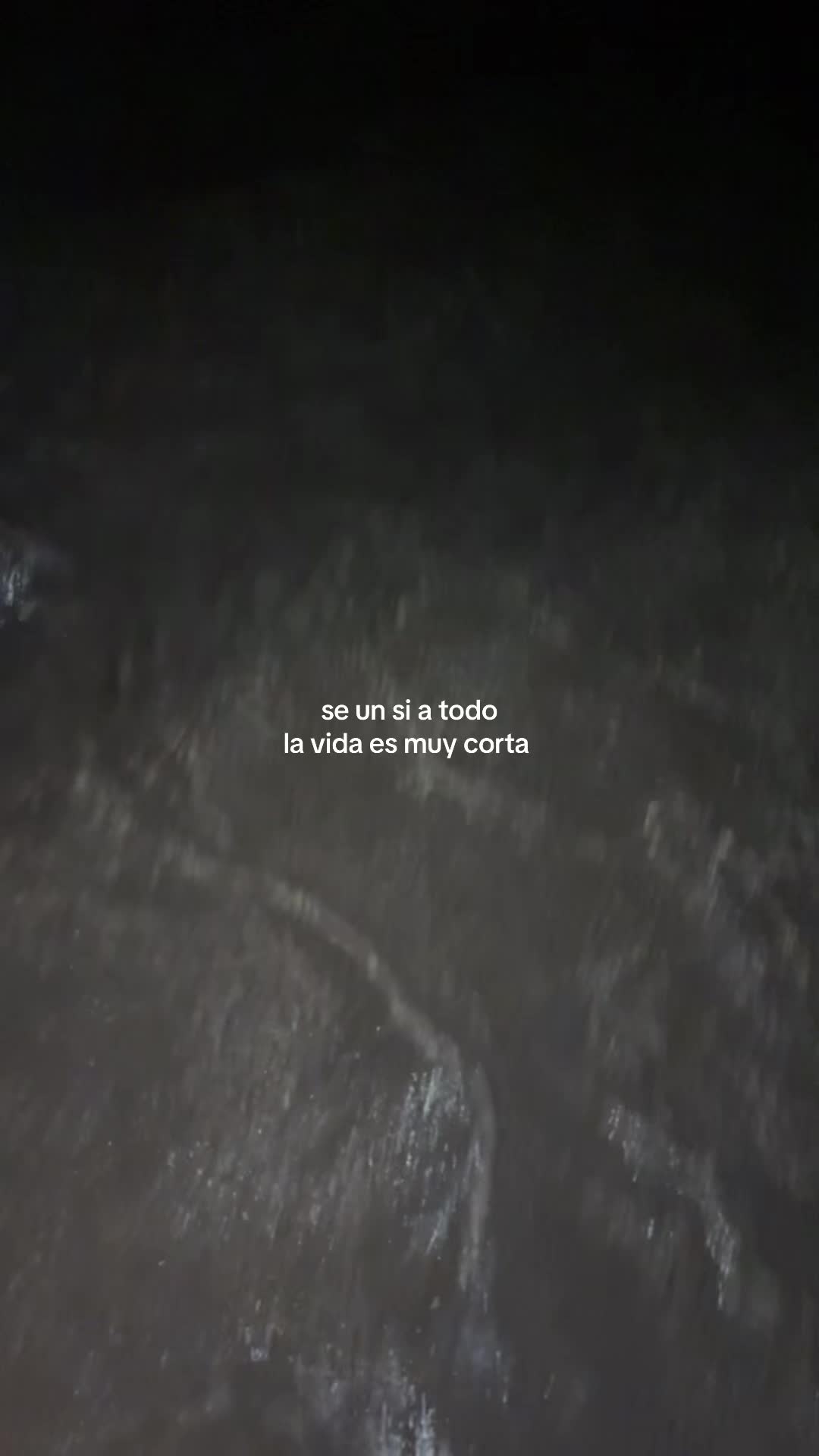 @Alejandra G&aacute;lvez