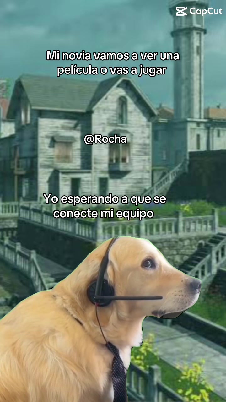 @ROCHA