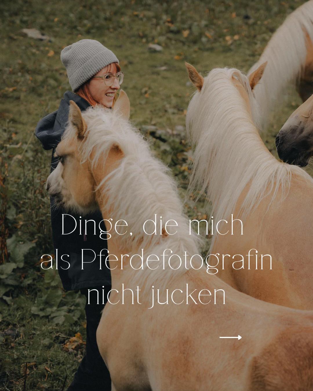 @Lorea ☾ Pferdefotografin