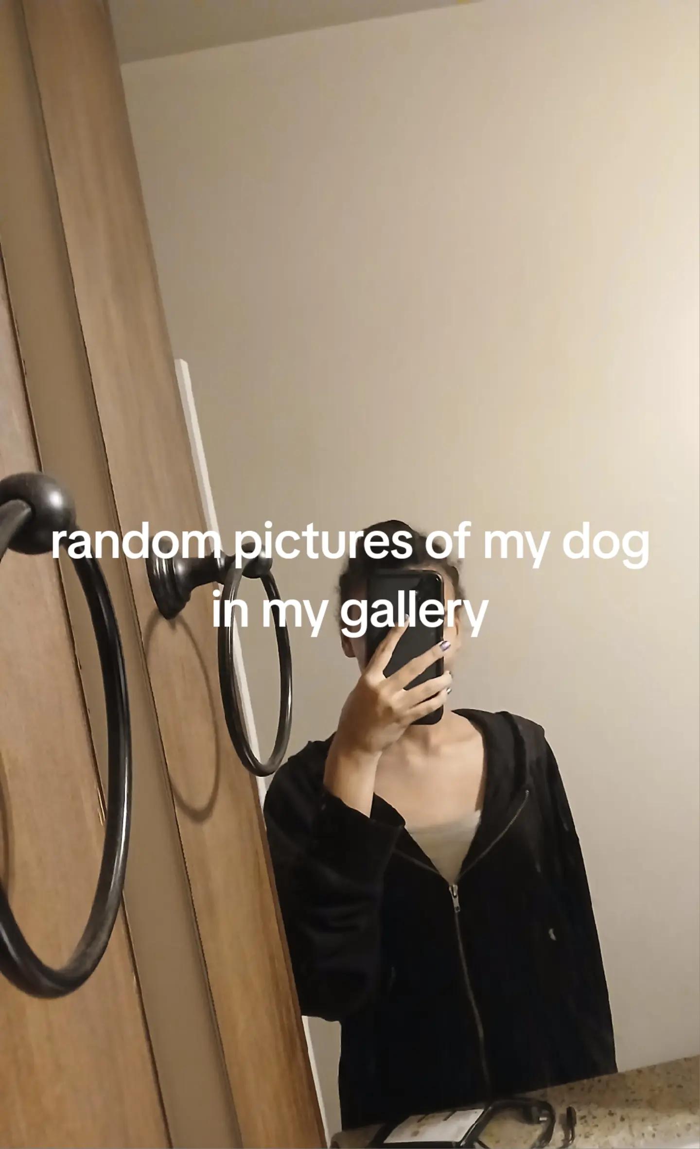 @WolfLover234