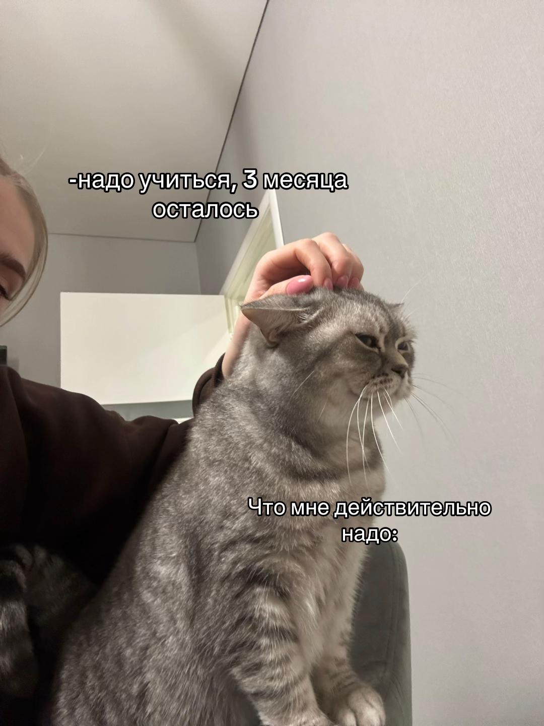 @mmeofs