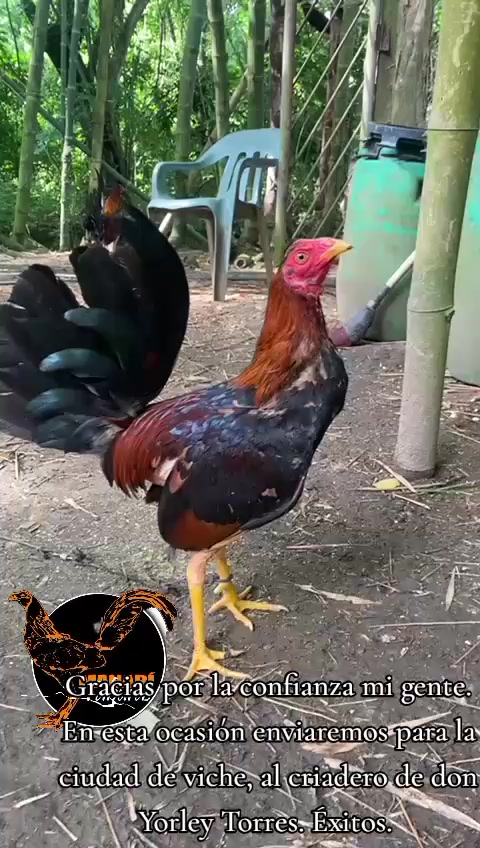 @MANABI TABURAS
