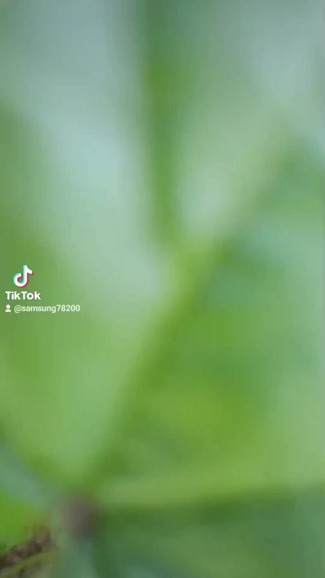 @Bouba🇲🇦مغربي
