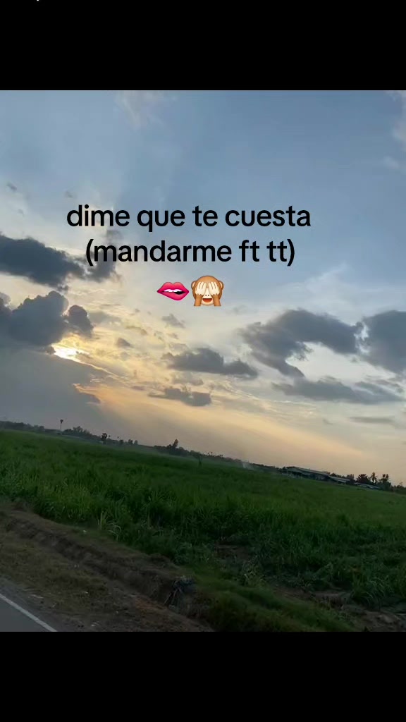 @angie