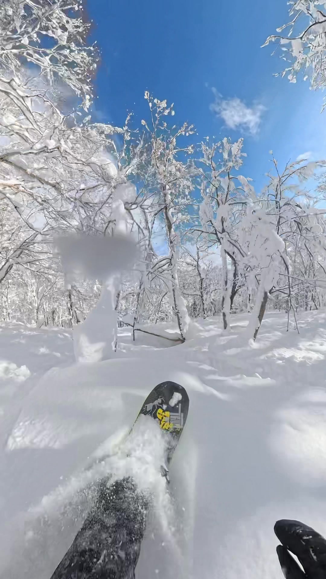 @Search of Snowboarding