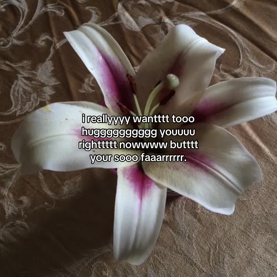 @𓇢