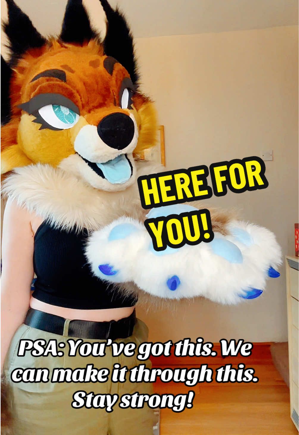 @LilFoxCori