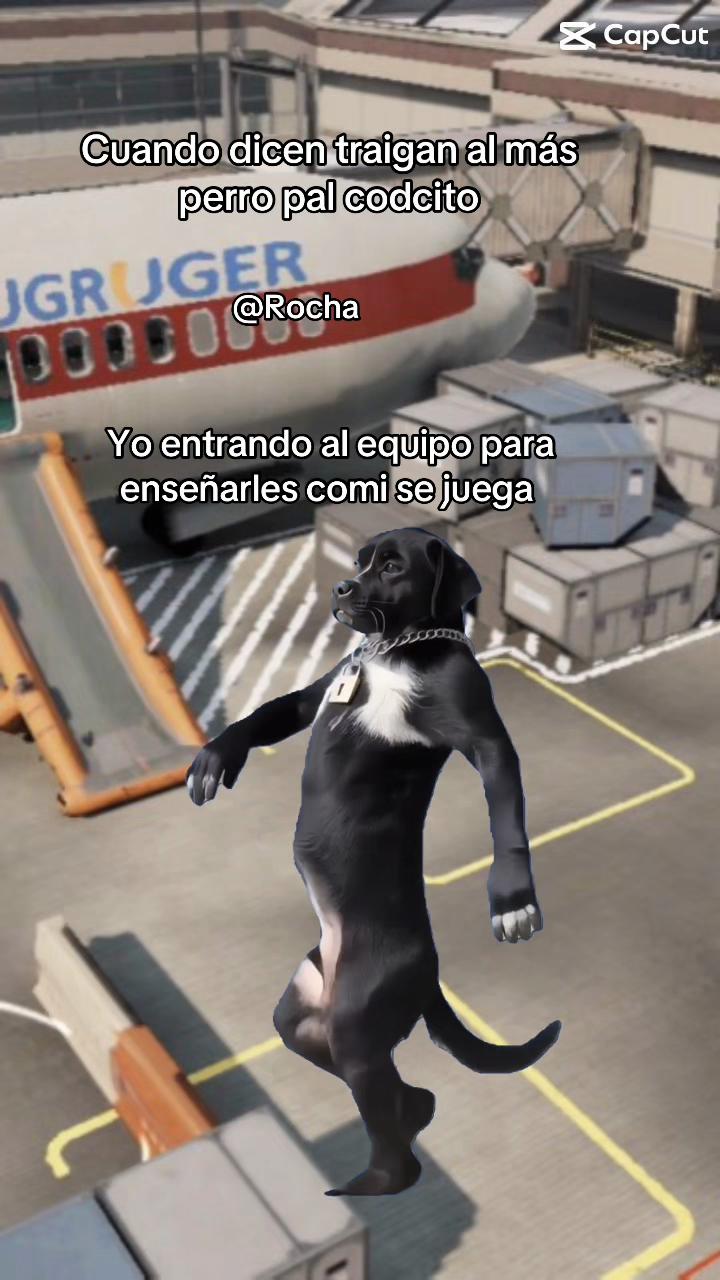 @ROCHA