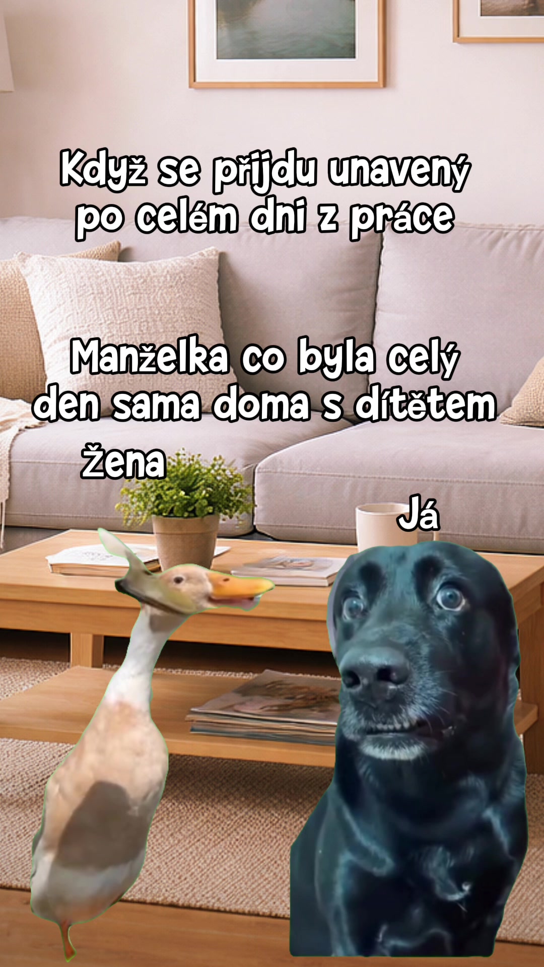 @Petr Kubala