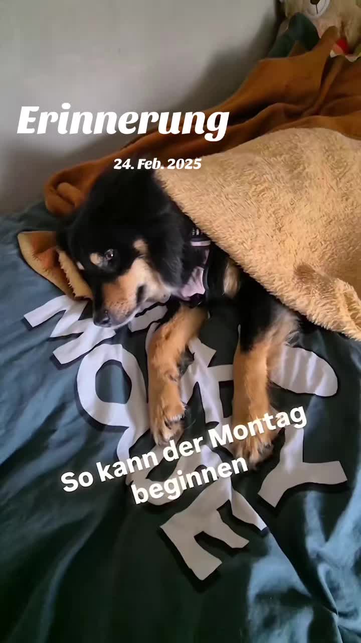 @Claire_Hund