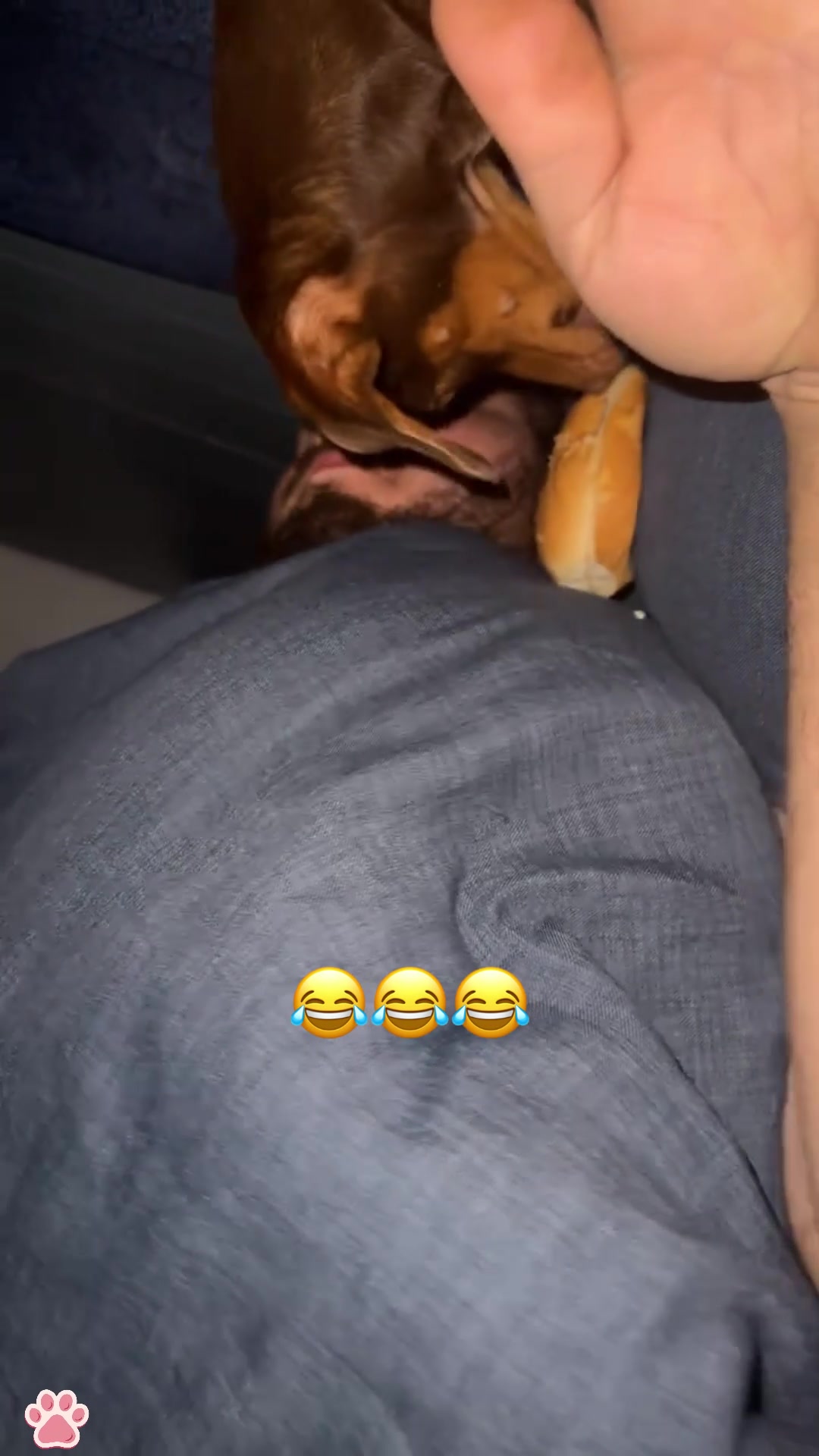 @cuteandfunny8888