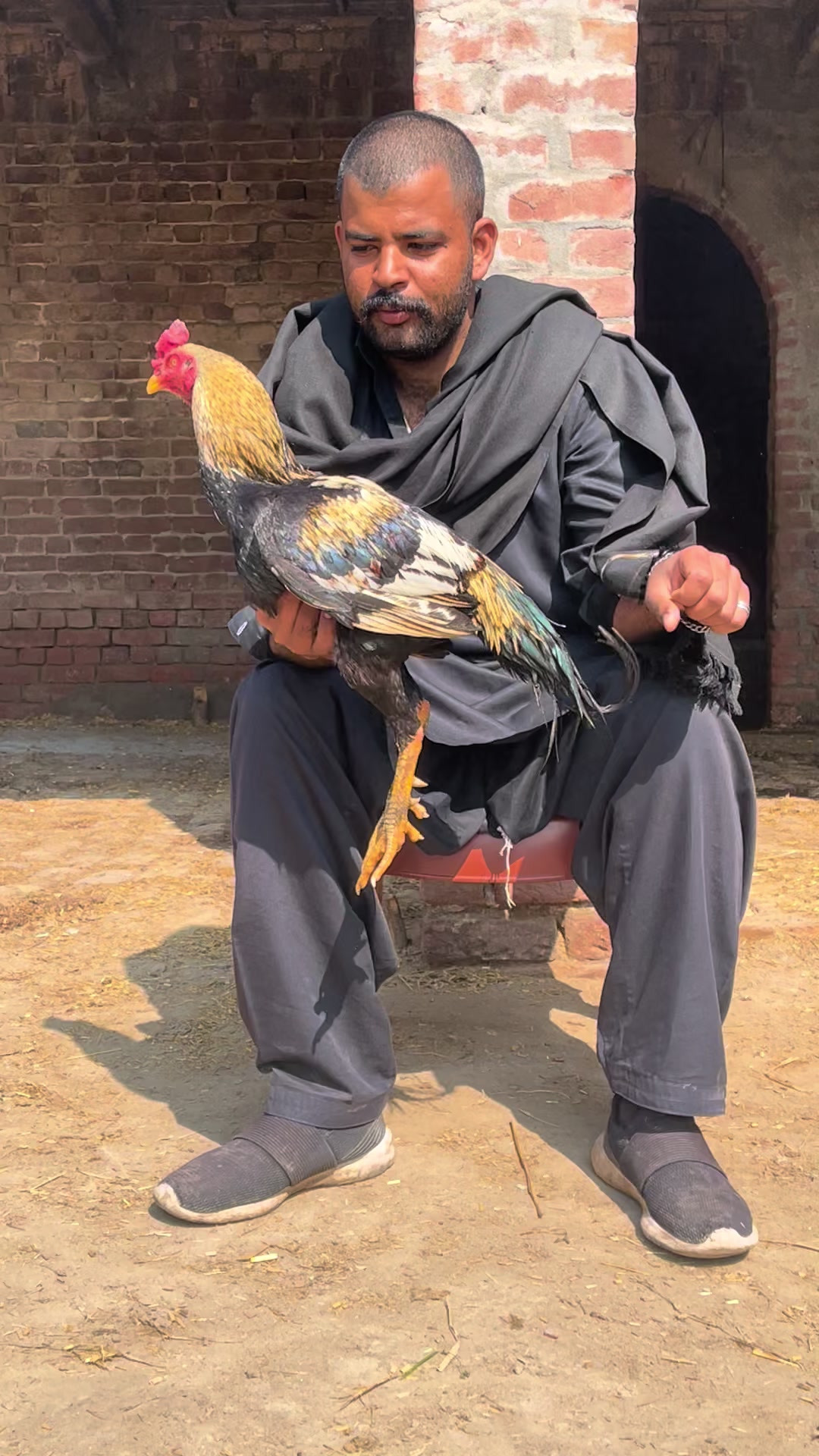 @Abdullah Mattu
