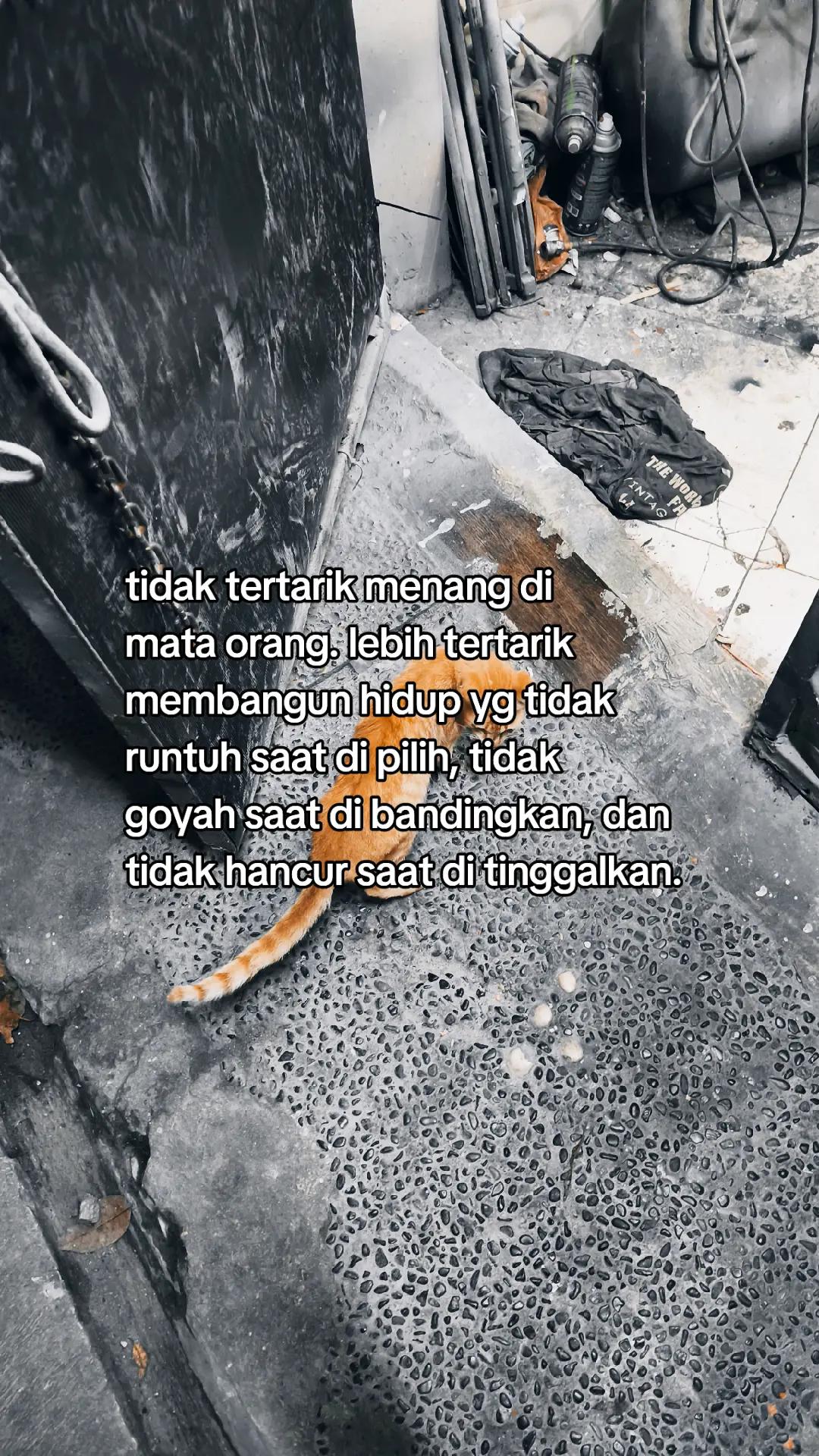 @Fren nya lagi stecu⚡