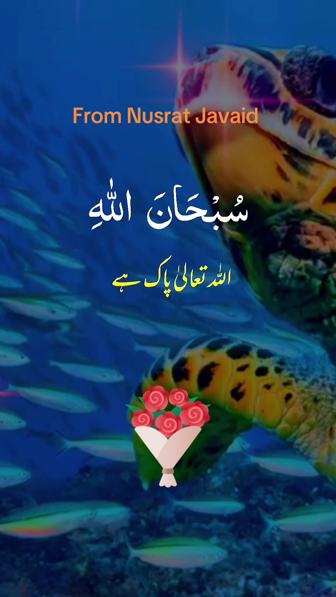 @nusrat