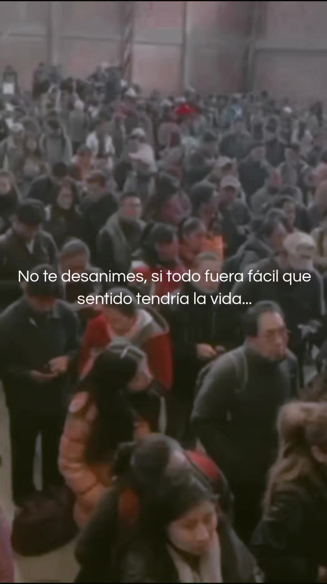 @Editorial_Pedagógica_Bolivia
