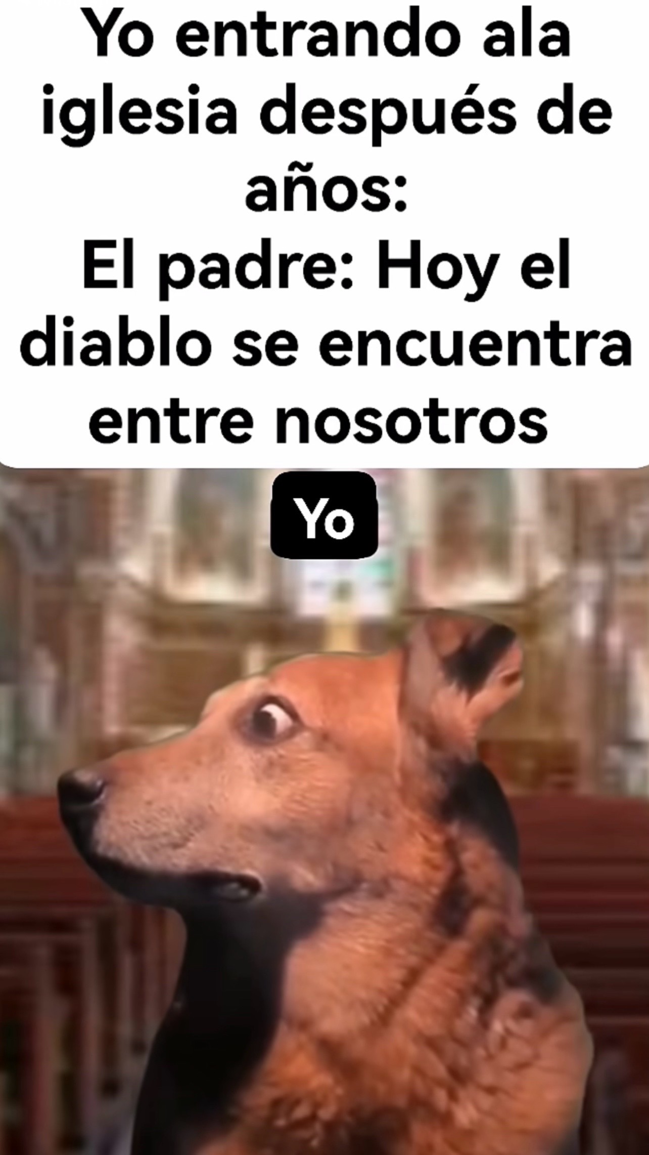 @tellebarajas