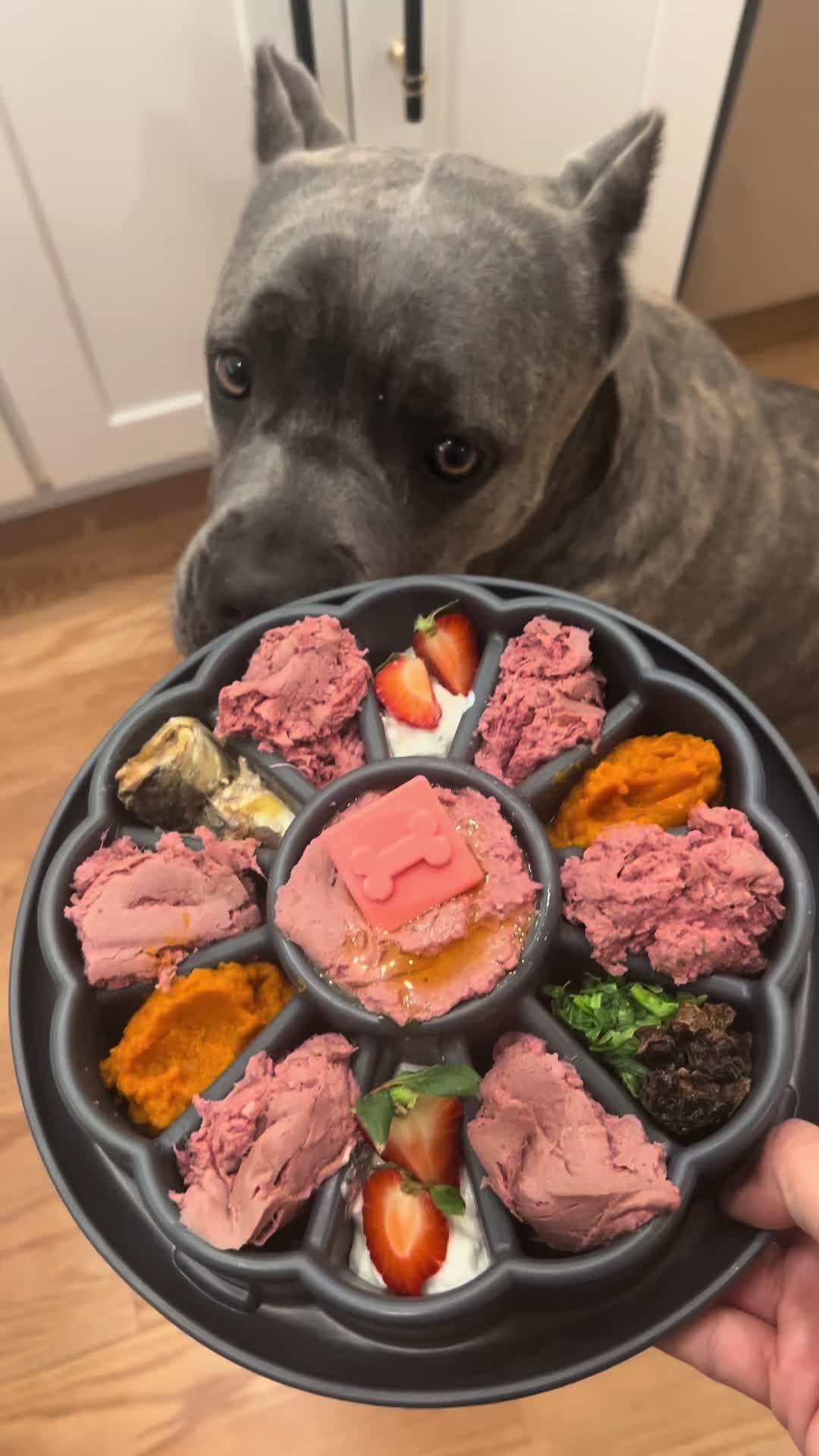 @Remi The Cane Corso