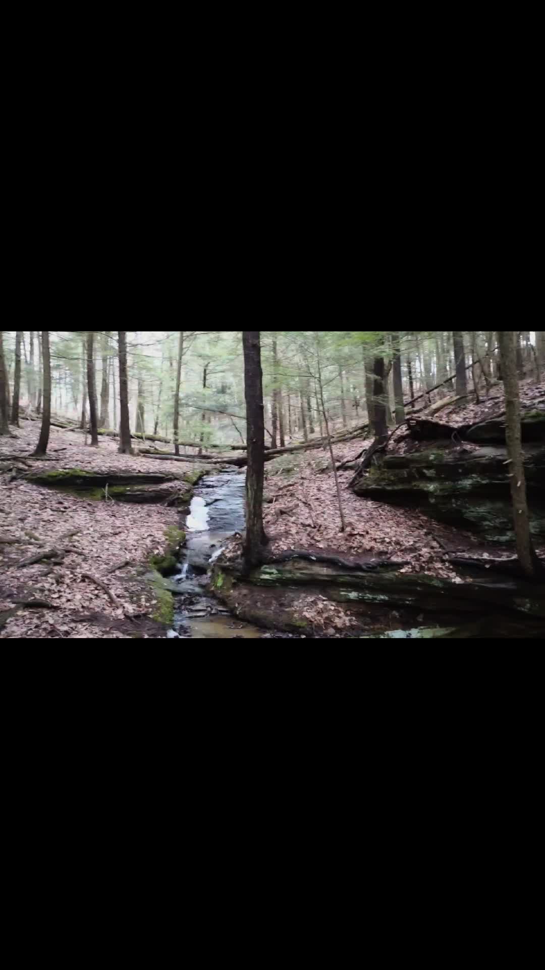 @Josue_wildlife_photography86