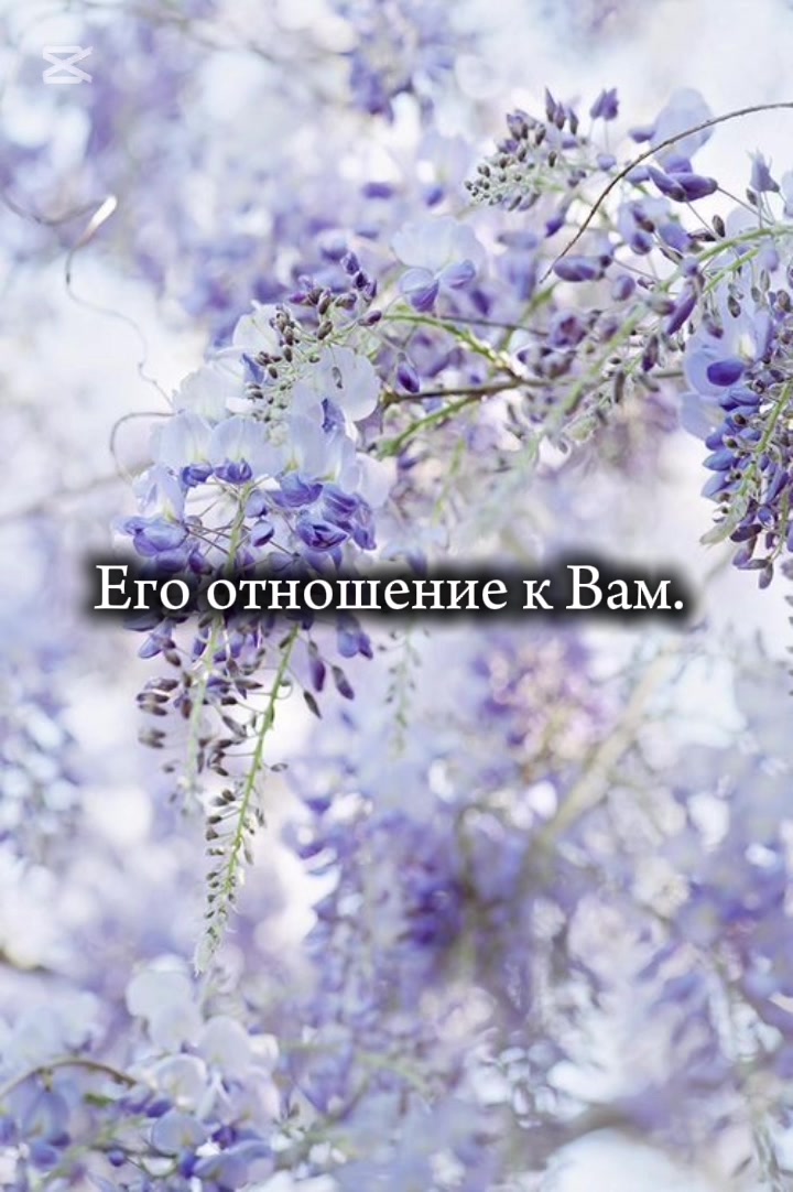 @Polli