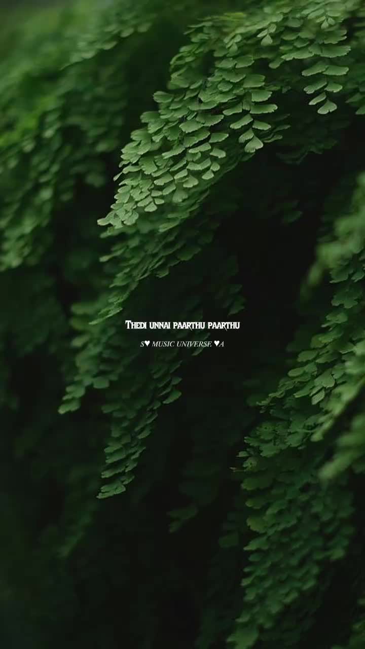 @&hearts;𝙈𝙐𝙎𝙄𝘾 𝙐𝙉𝙄𝙑𝙀𝙍𝙎𝙀&hearts;
