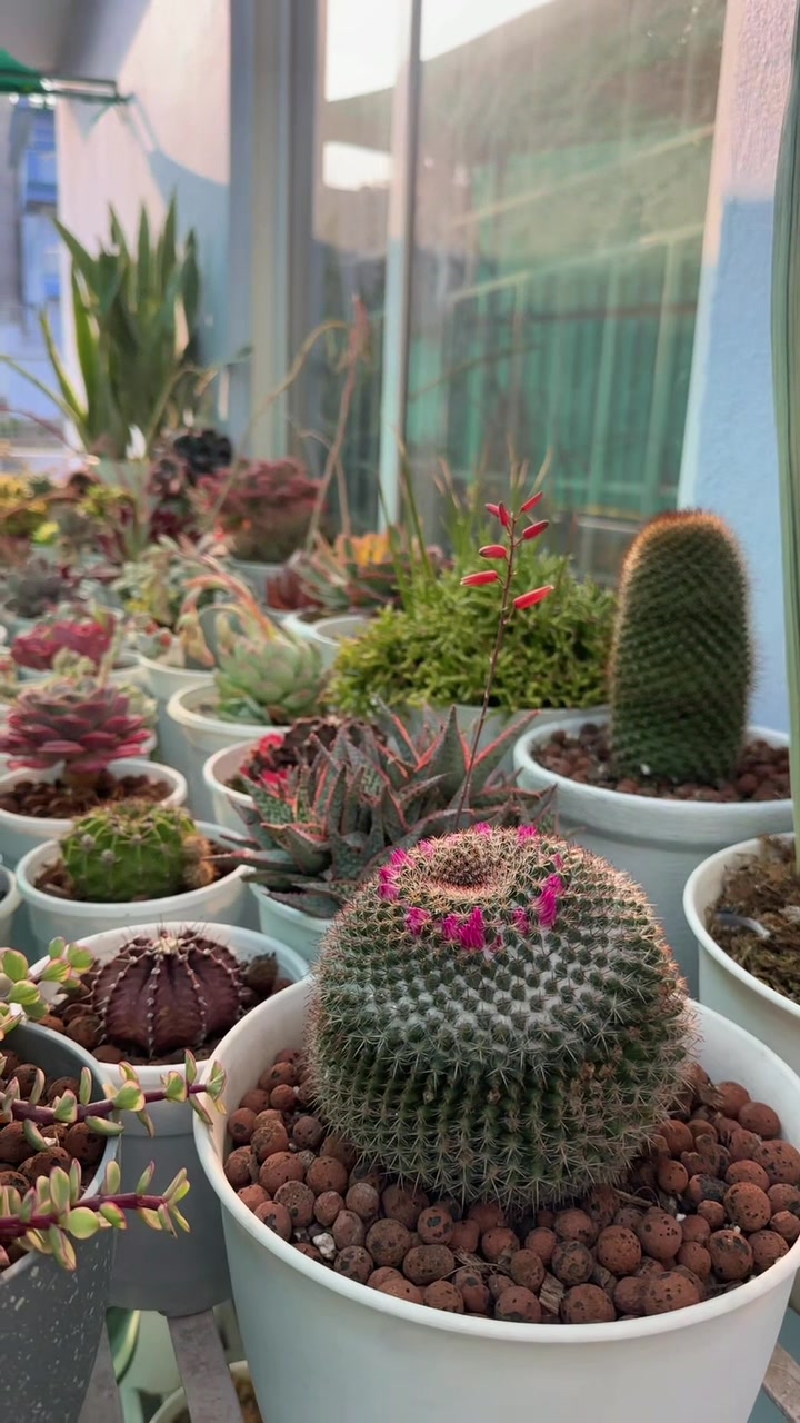 @Plantlife50