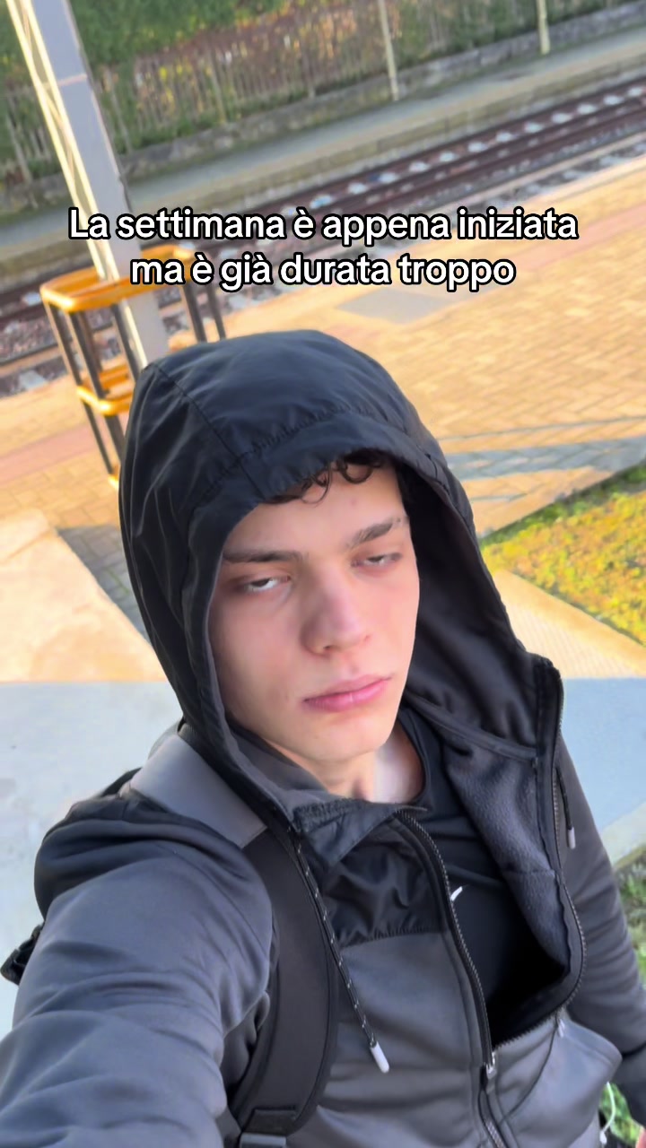 @gattinocattolico