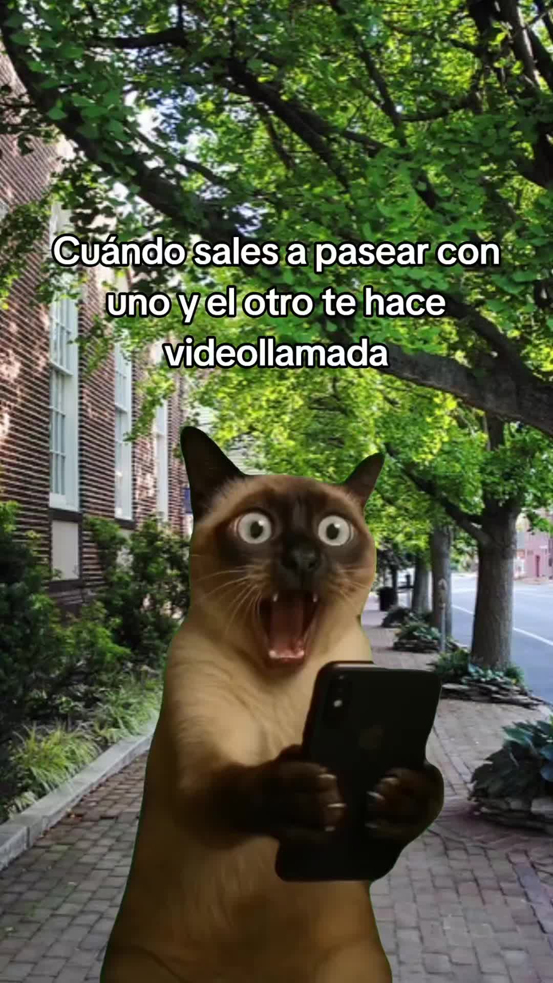 @ersa