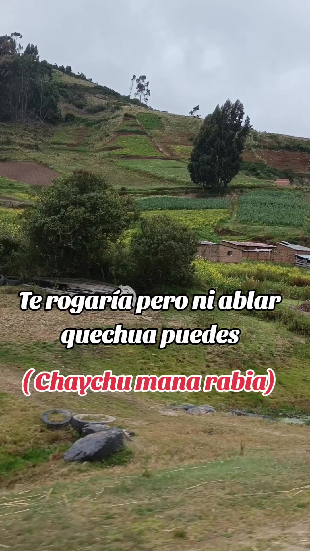 @Dulce bomb&oacute;n 🇧🇴🕊️🍭🍋